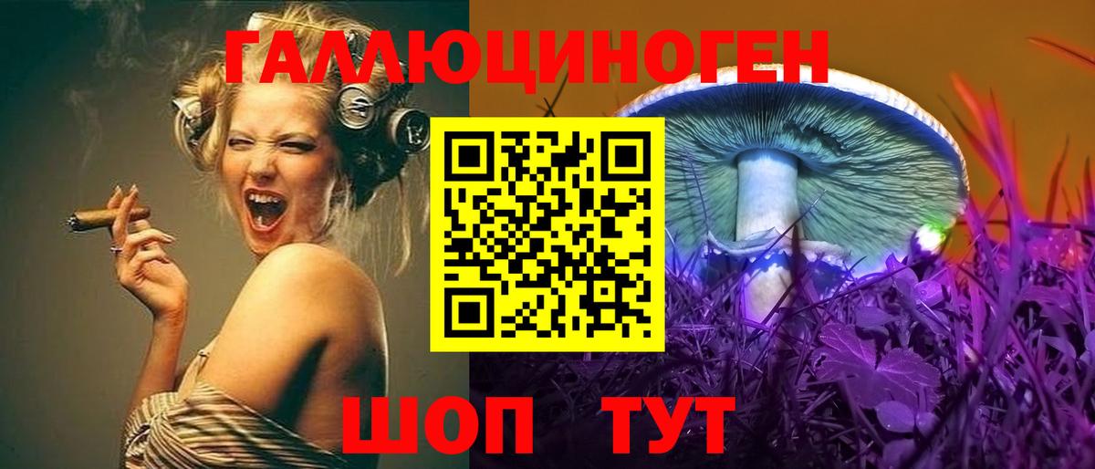 Галлюциногенные грибы Psilocybe  Вход с VPN  магазин продажи наркотиков  Шали 